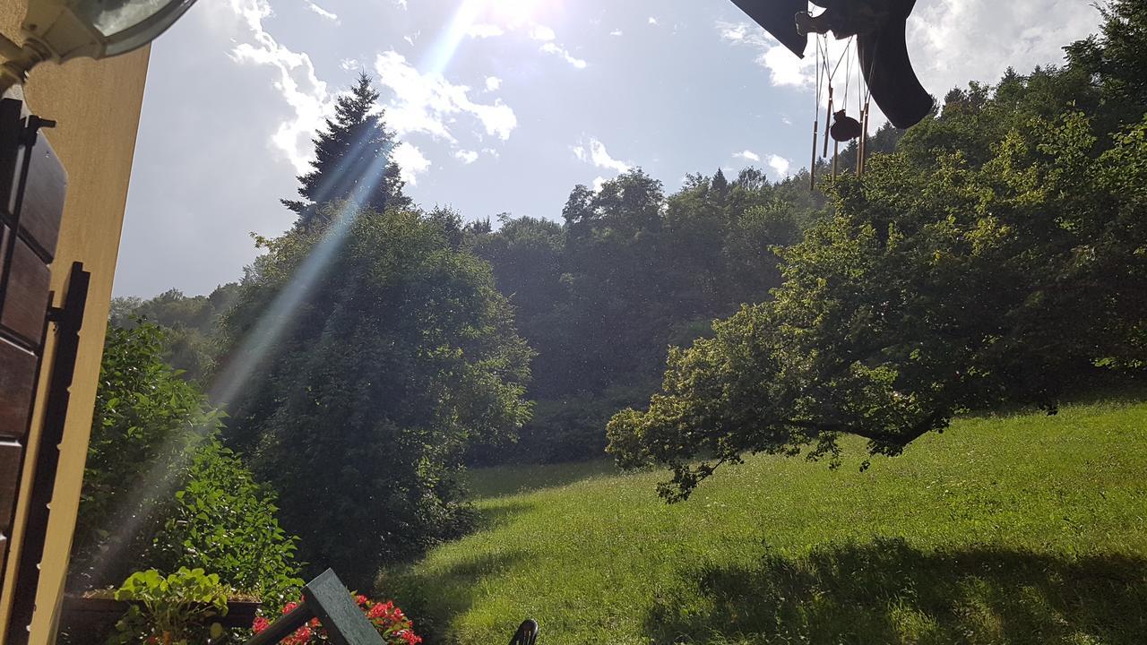 Maso Weiss Bed & Breakfast Bieno  Eksteriør bilde