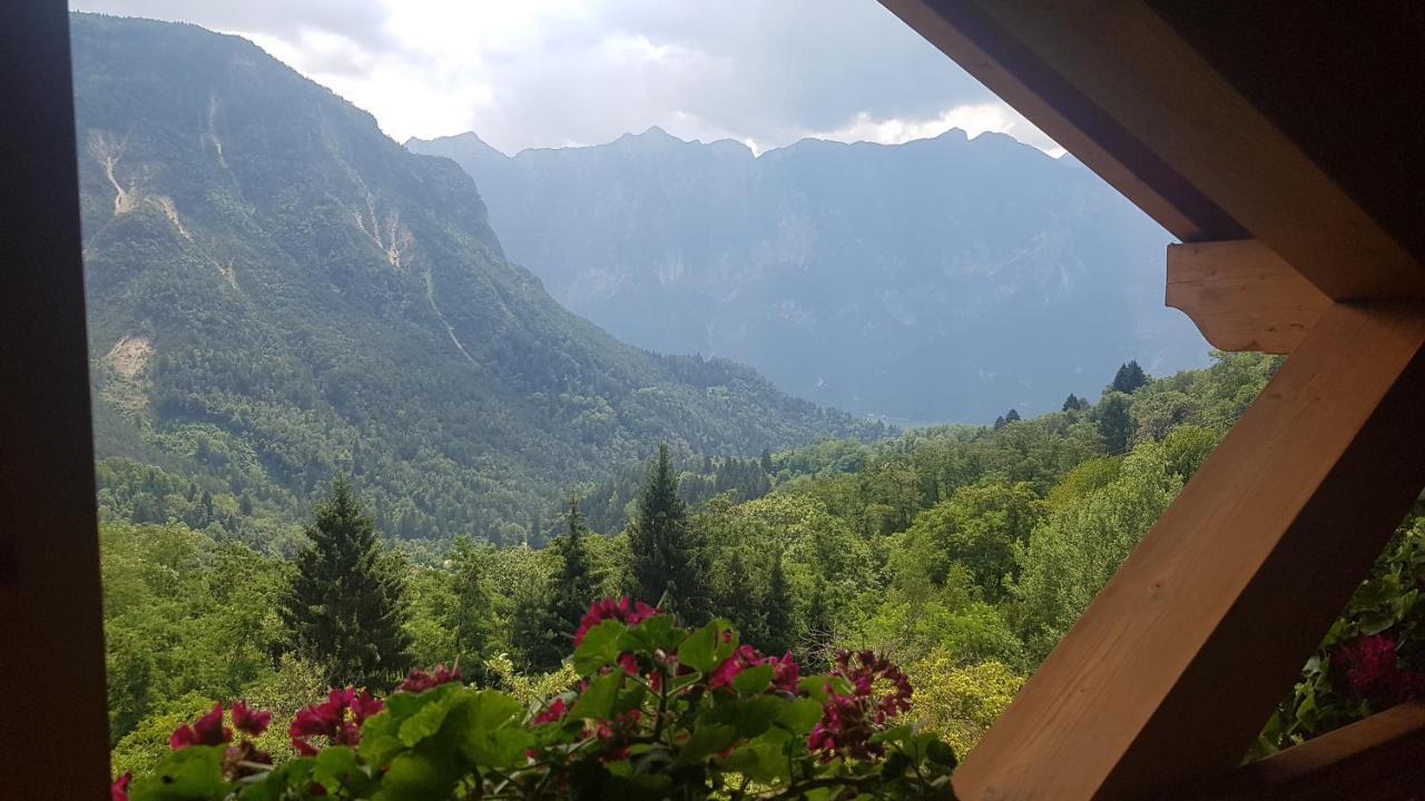 Maso Weiss Bed & Breakfast Bieno  Eksteriør bilde