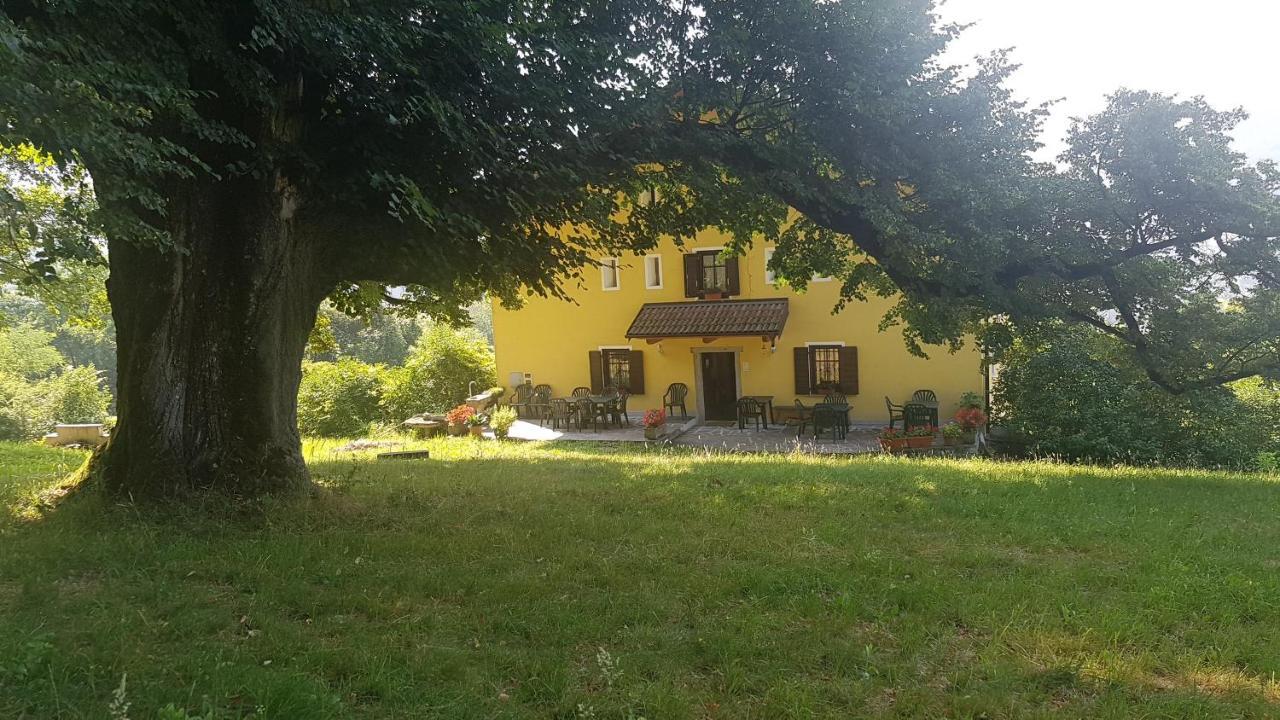 Maso Weiss Bed & Breakfast Bieno  Eksteriør bilde